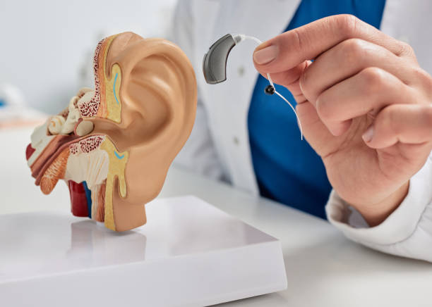 istockphoto 1985062329 612x612 istockphoto 1985062329 612x612